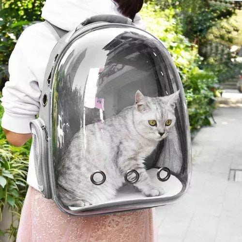 Mochila Pet Visão Panorâmica Astronauta Cachorro Gato Cão